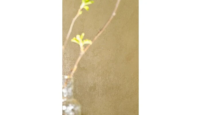 Jacquard - Жаккард