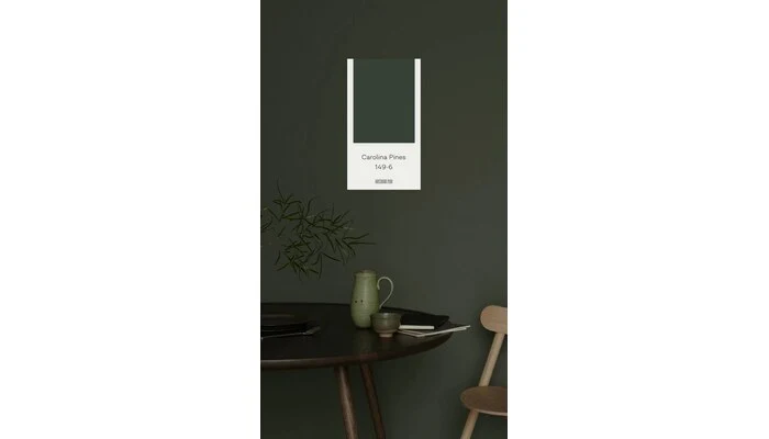 Design Soft - Дизайн Софт