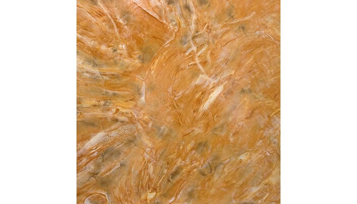 Veniera - Вениера