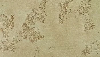 Декоративная штукатурка "Карта мира"